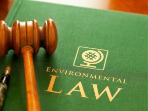 Product Liability Lawyers: Protecting Your Rights When Products Fail